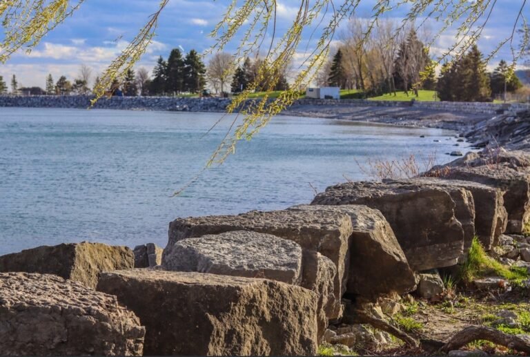 Family Fun at Bluffers Beach Park: Tips for a Perfect Beach Day